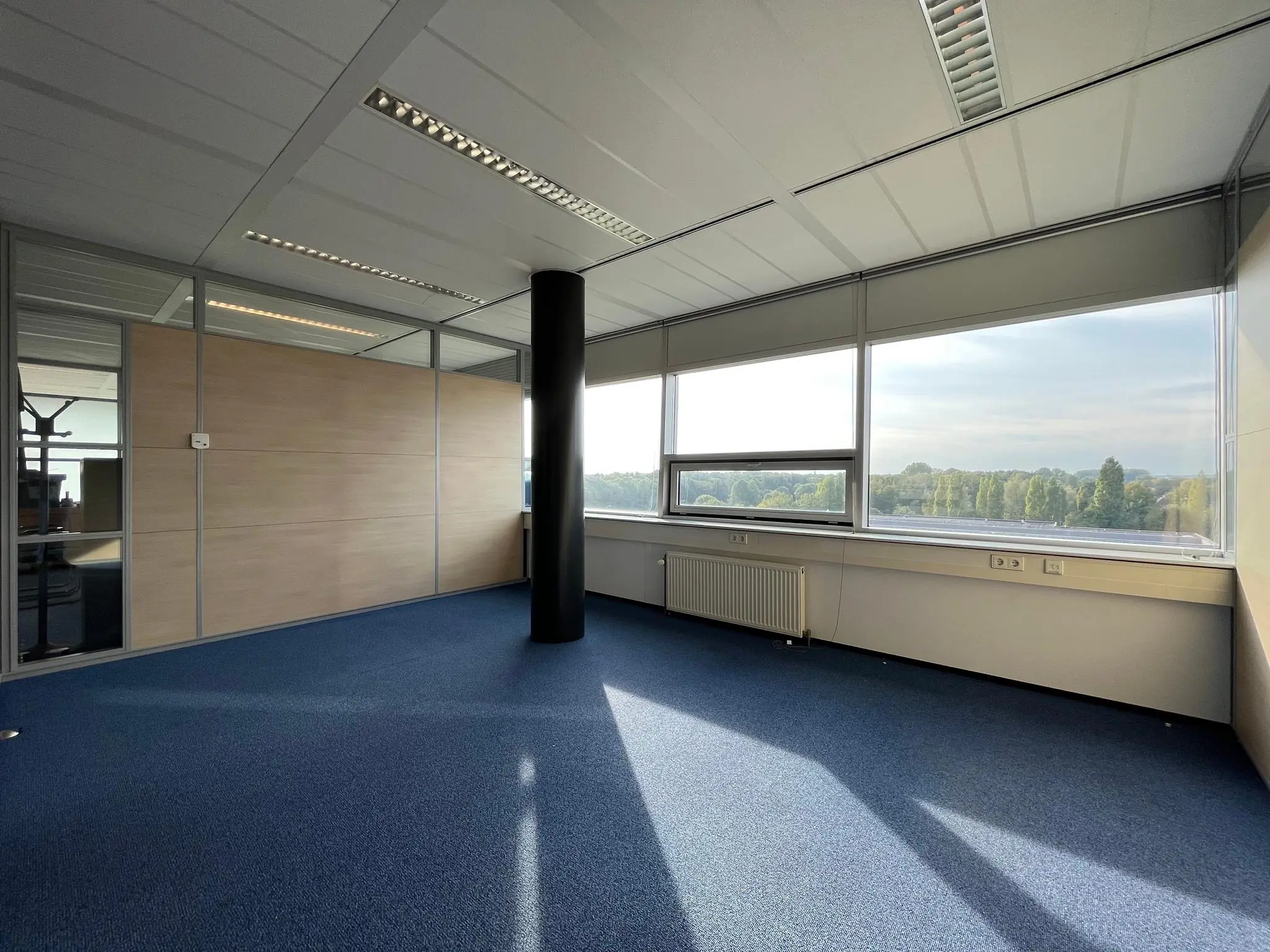 Licht en modern kantoor in Rijnzathe met blauw tapijt, houten tussenwand en grote ramen met uitzicht op bomen.