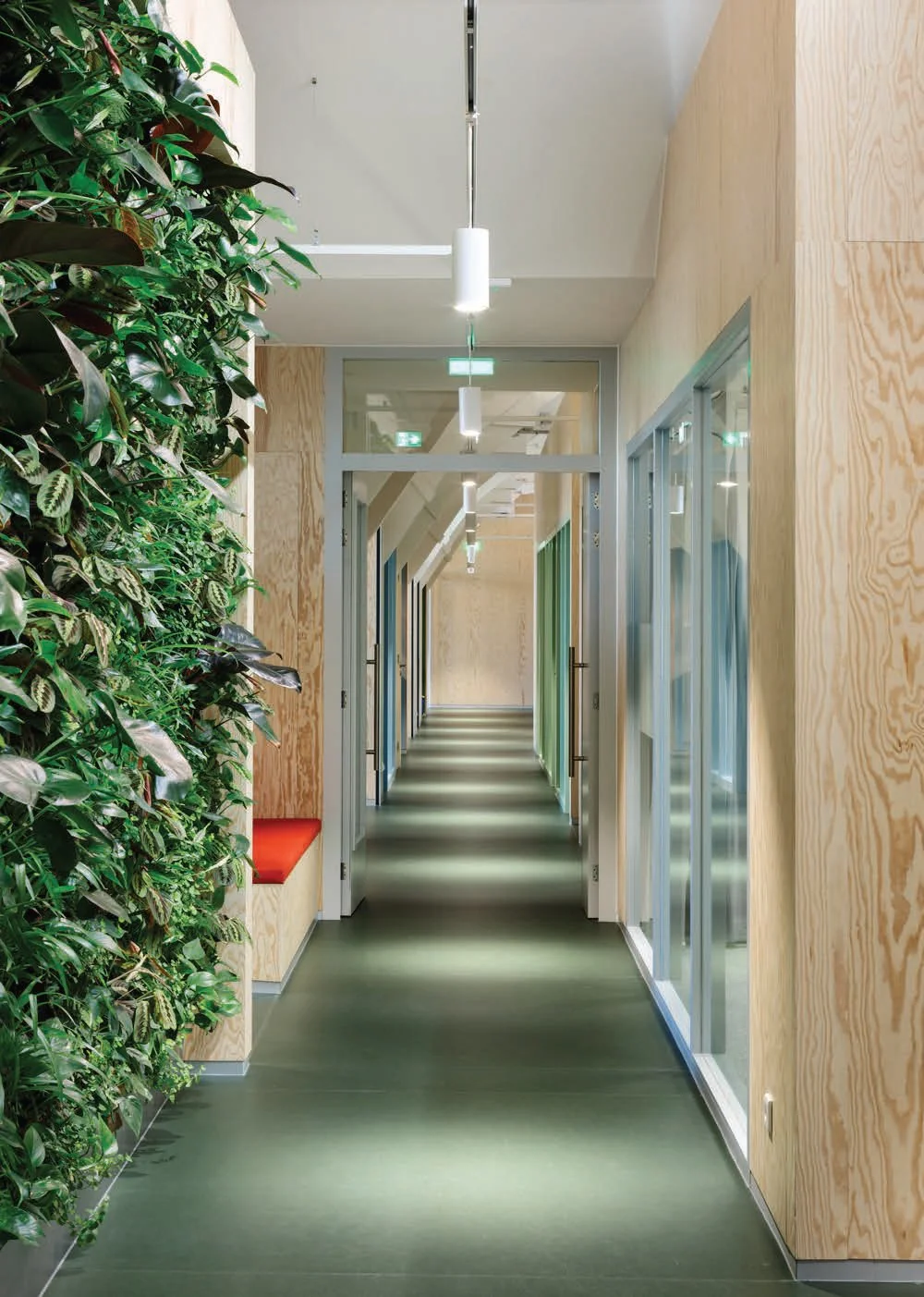 Licht en modern interieur van een gang op de Nassaukade met een groene plantenwand en houten wanden.