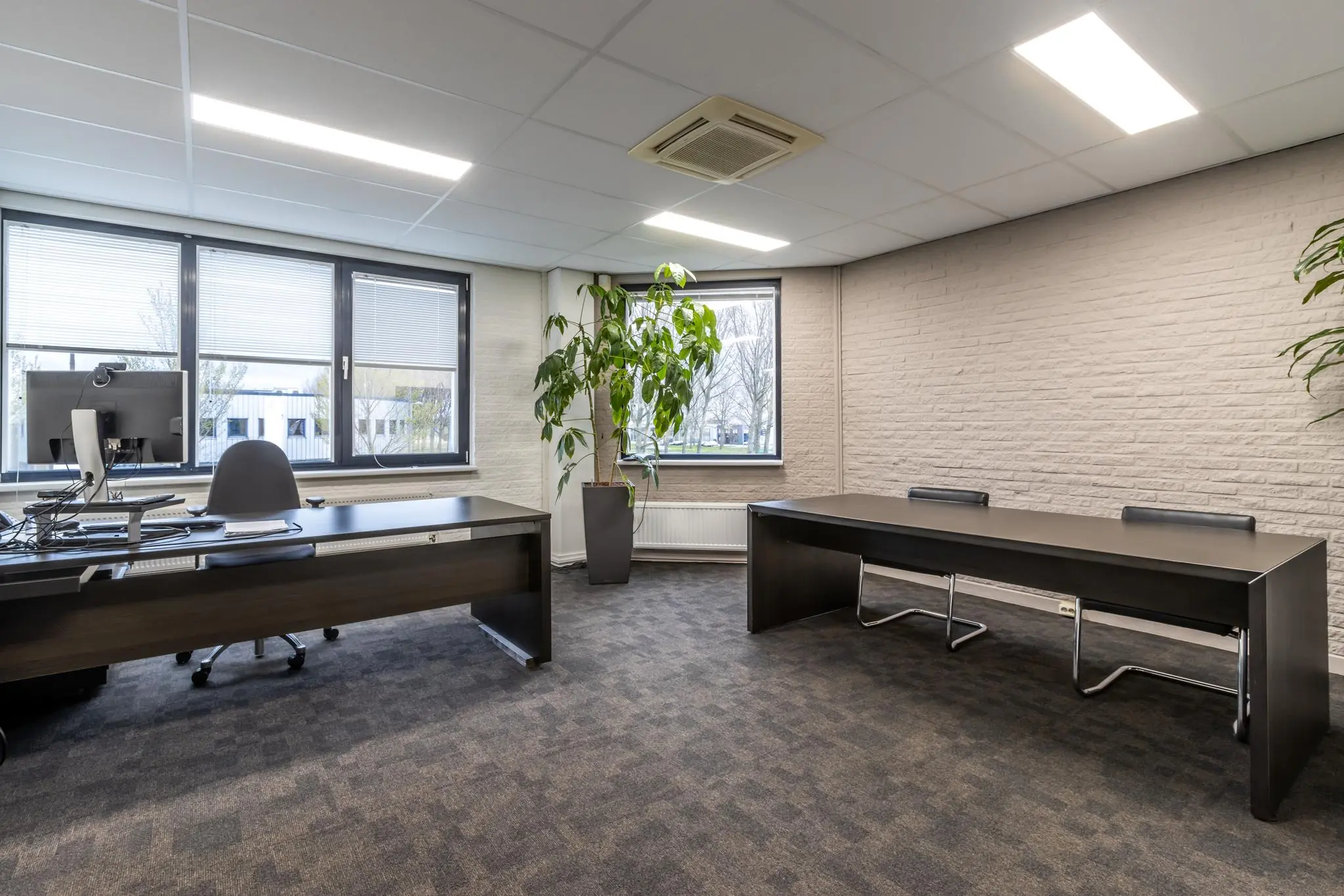 Modern ingericht kantoor aan de Pittsburghstraat met twee bureaus, grote ramen en een kamerplant.