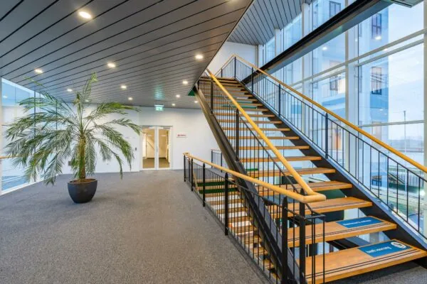 Moderne kantoorhal aan de Vareseweg met open houten trap, grote ramen en een grote kamerplant.