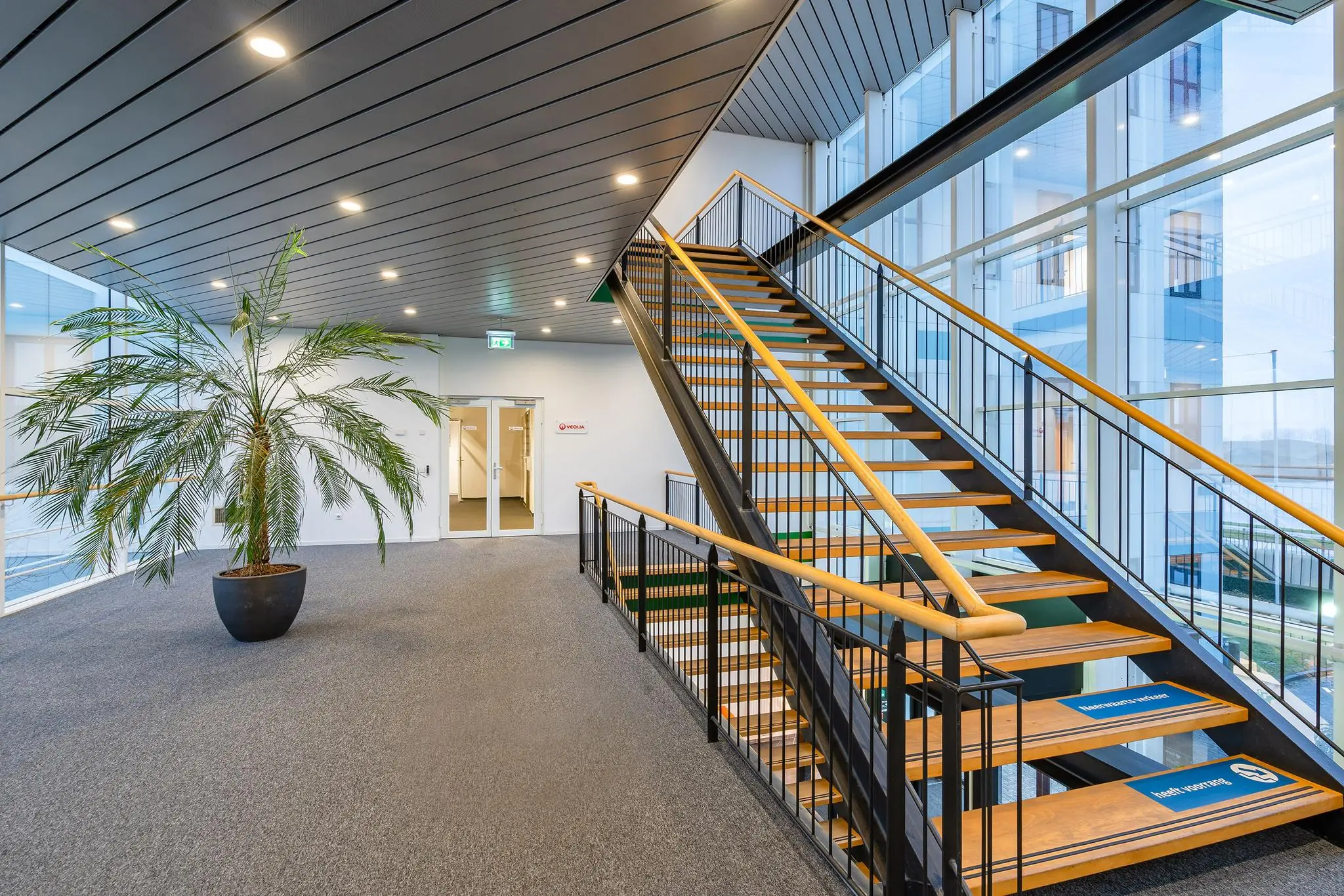 Moderne kantoorhal aan de Vareseweg met open houten trap, grote ramen en een grote kamerplant.