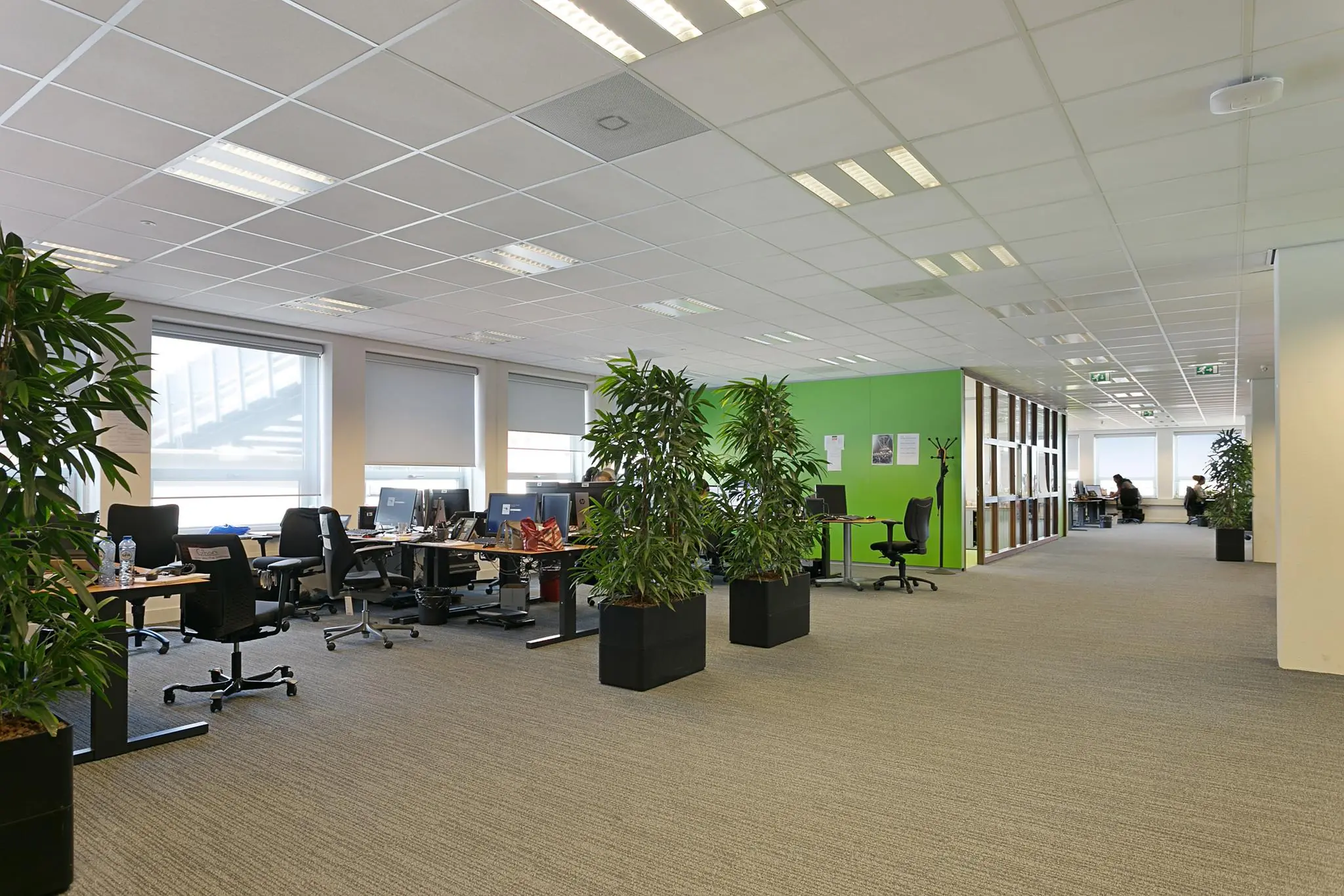 Ruim en modern kantoorinterieur aan de Dynamostraat met bureaus, planten en een groene accentmuur.