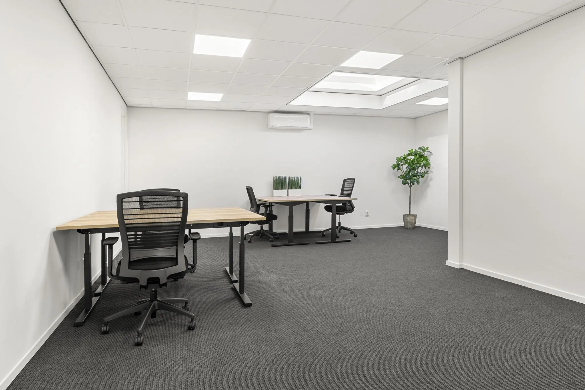 Moderne, minimalistische kantoorruimte aan de Nijverheidsweg met bureaus, bureaustoelen en een kunstplant.