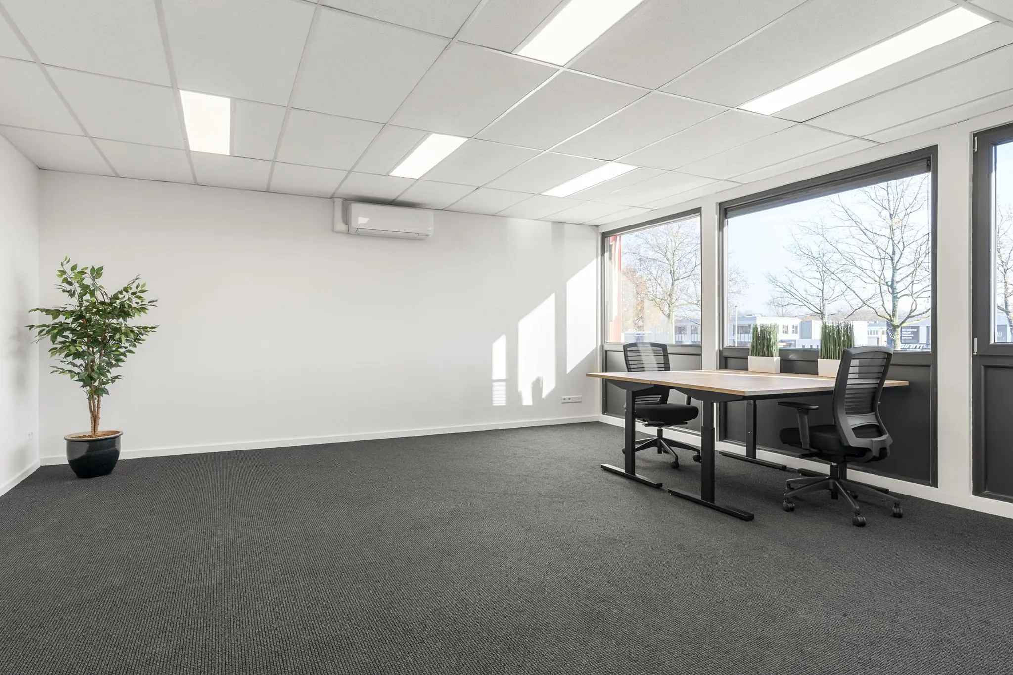 Licht en modern kantoor met twee bureaus, bureaustoelen, grote ramen en een kunstplant.