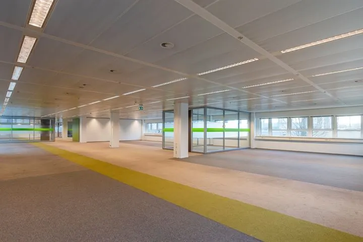 Ruime, lege kantoorruimte aan de Eendrachtlaan met glazen wanden en groen accenttapijt.
