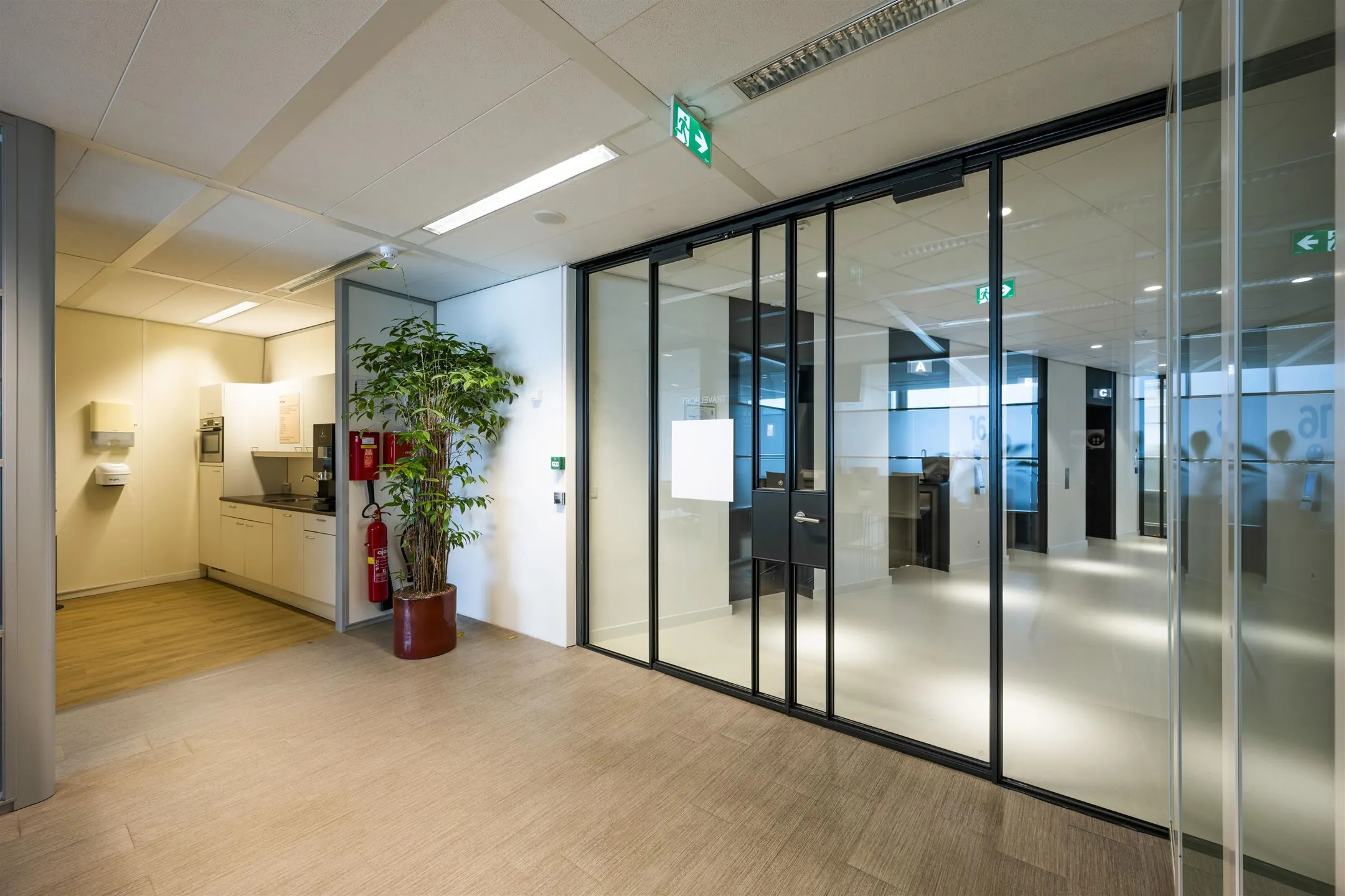 Moderne kantoorruimte met glazen vergaderruimtes, een keukenhoek en een grote kamerplant.