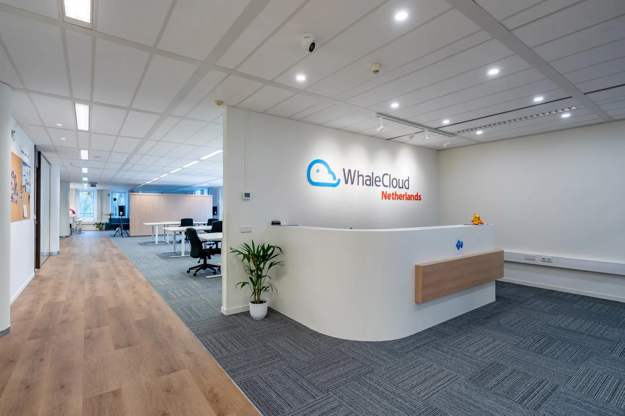 Moderne kantoorruimte van WhaleCloud Netherlands met een witte receptiebalie en open werkplekken op de achtergrond.