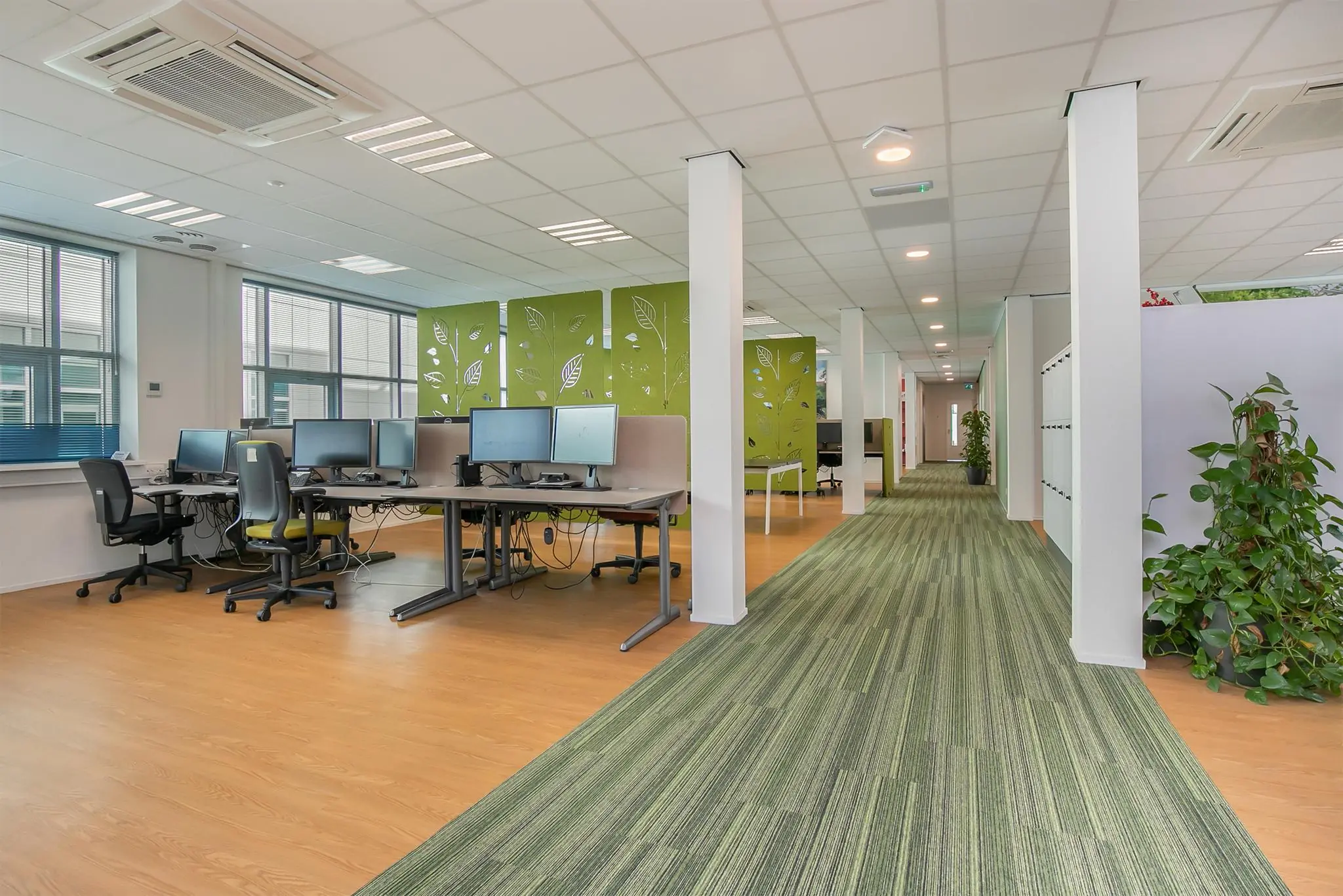 Modern kantoorinterieur aan het Rhijnspoor met werkplekken, groene vloerbedekking en decoratieve scheidingswanden met bladmotief.