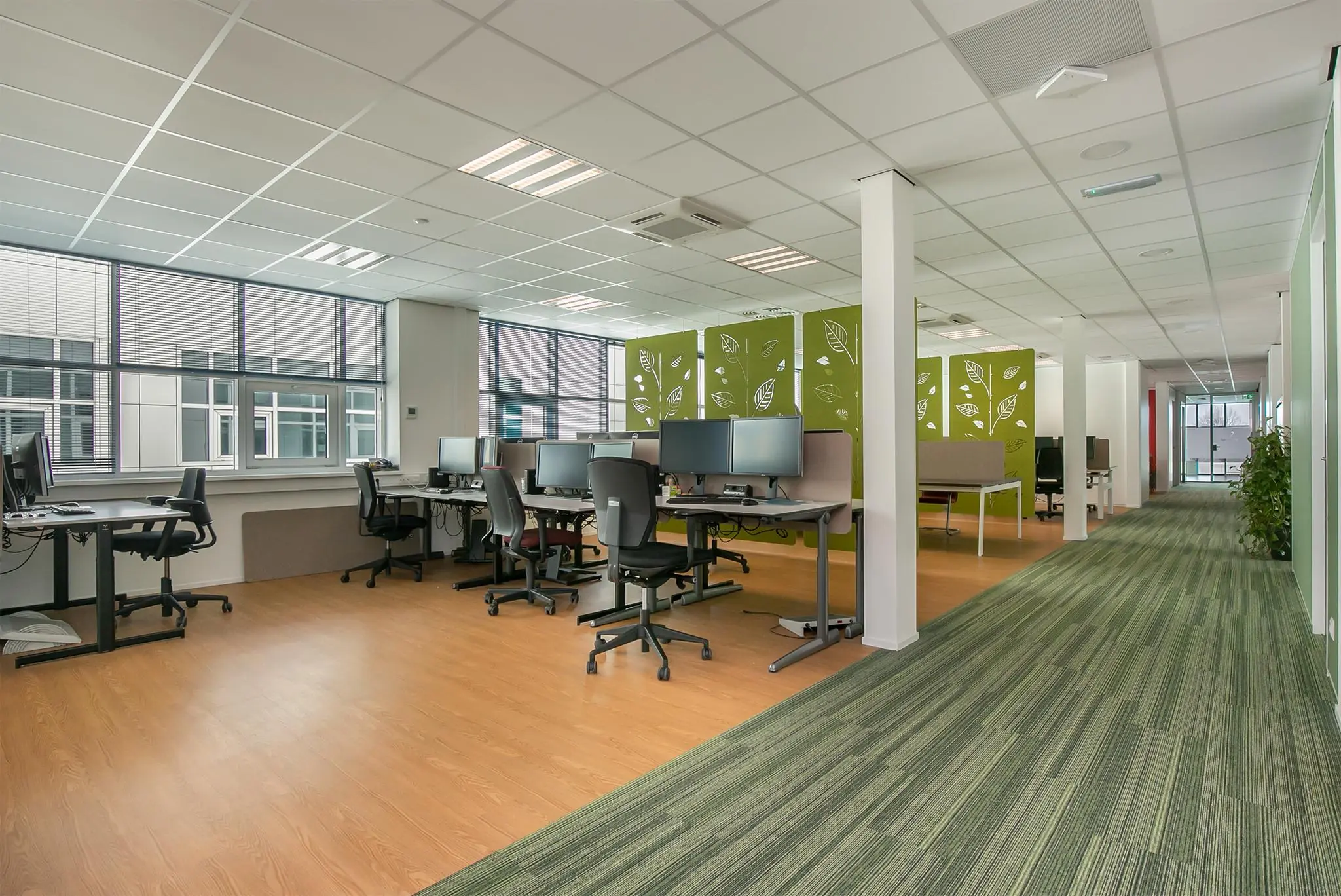 Modern kantoorinterieur aan het Rhijnspoor met werkplekken, groene scheidingspanelen en grote ramen.