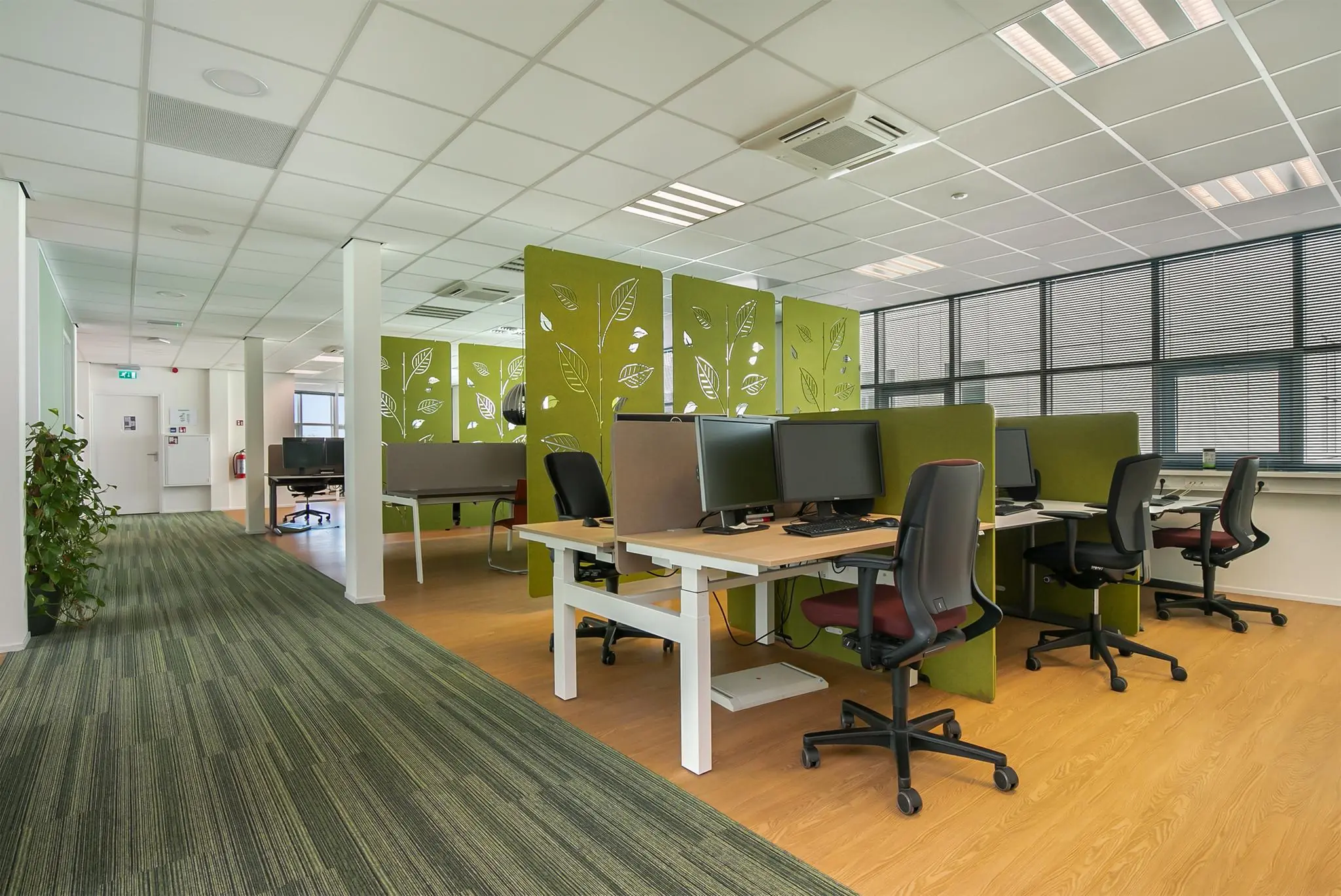 Moderne kantoorruimte in Rhijnspoor met werkplekken, groene scheidingswanden en veel daglicht.