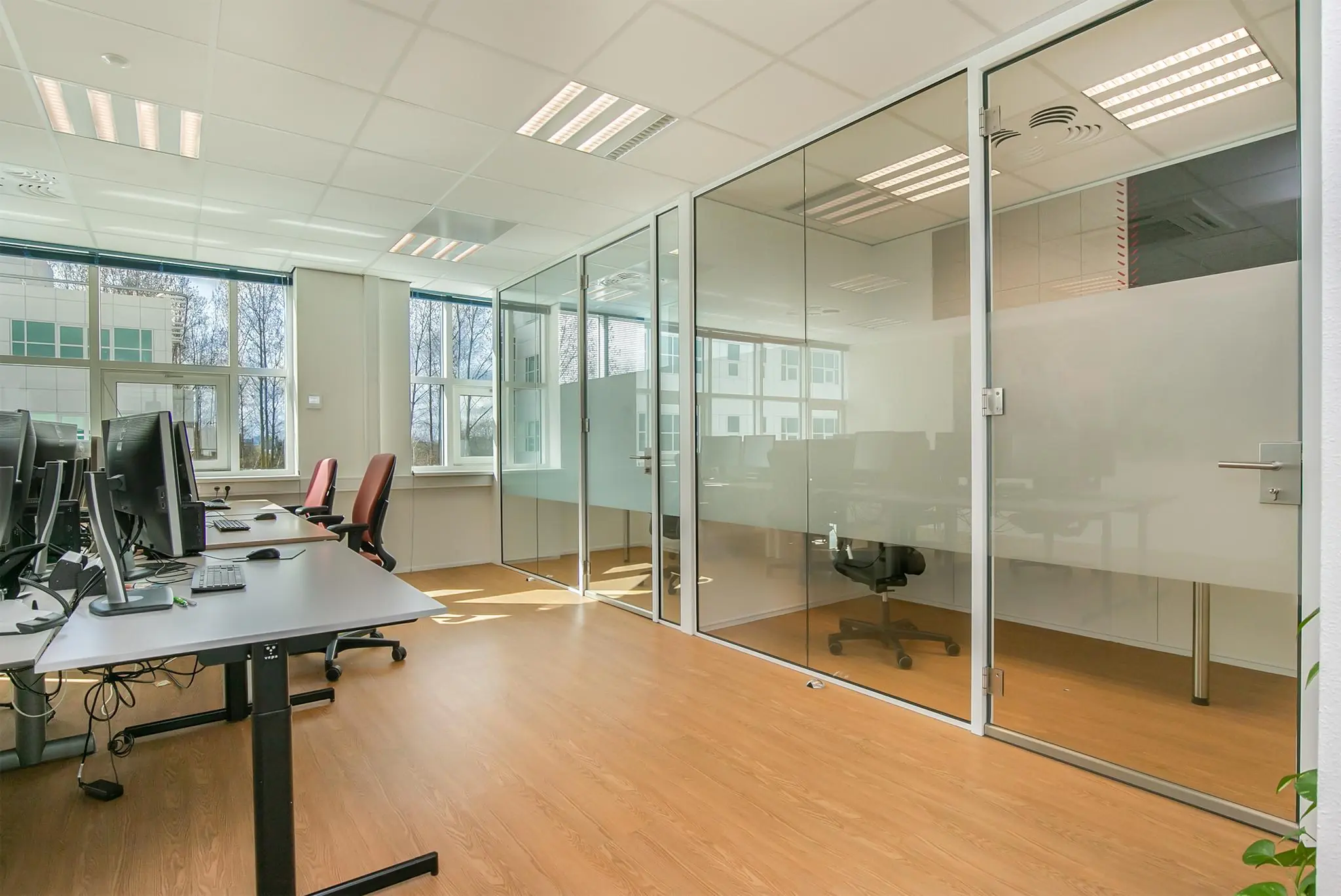 Modern kantoor aan het Rhijnspoor met werkplekken, glazen vergaderruimtes en veel daglicht.