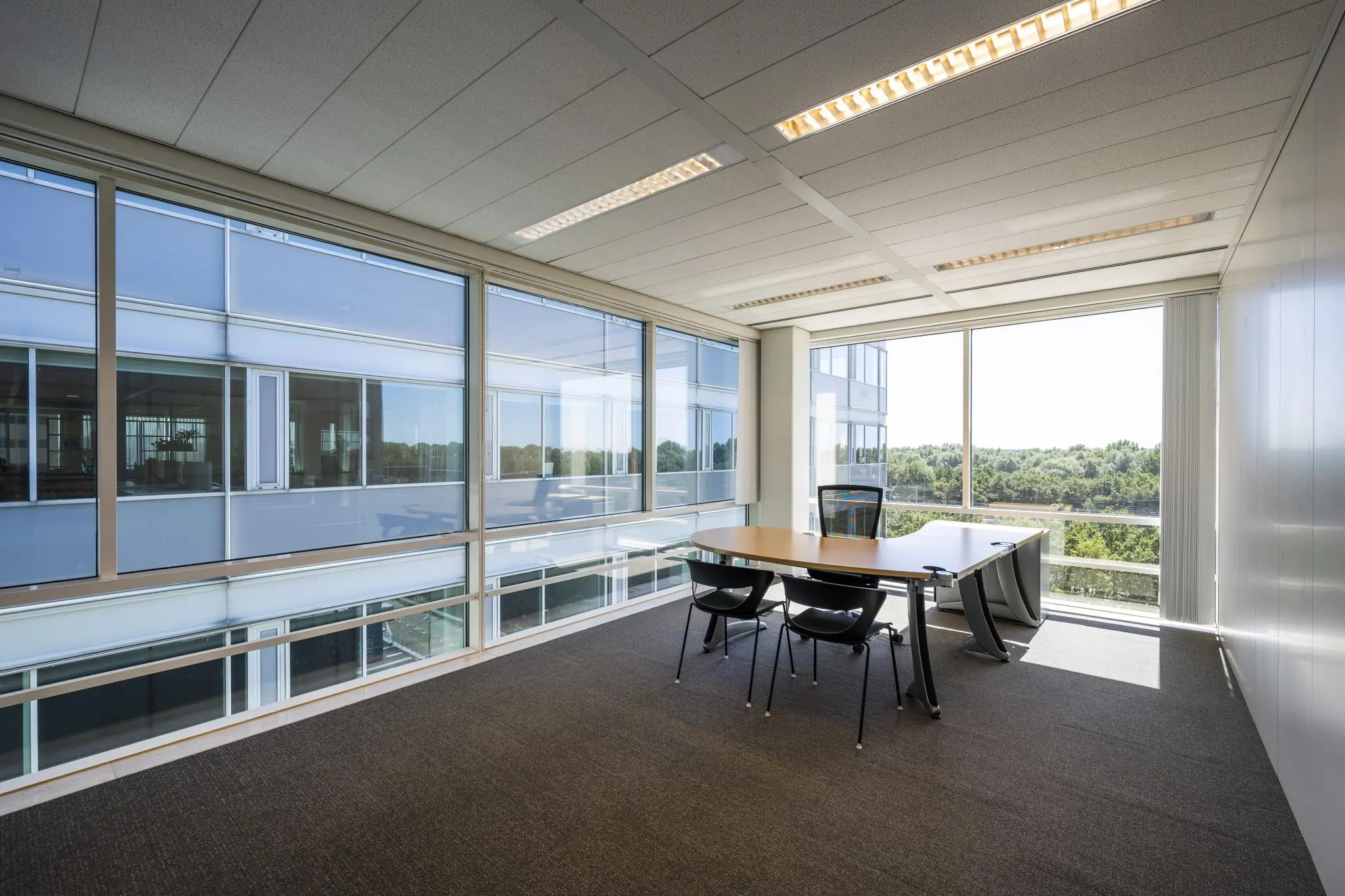 Licht en modern kantoor met grote ramen aan de Thomas R. Malthusstraat.