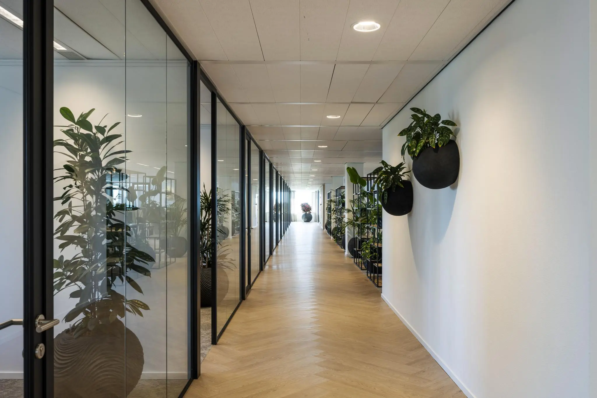 Moderne kantoorhal aan de Thomas R. Malthusstraat met glazen wanden, houten vloer en groene planten.