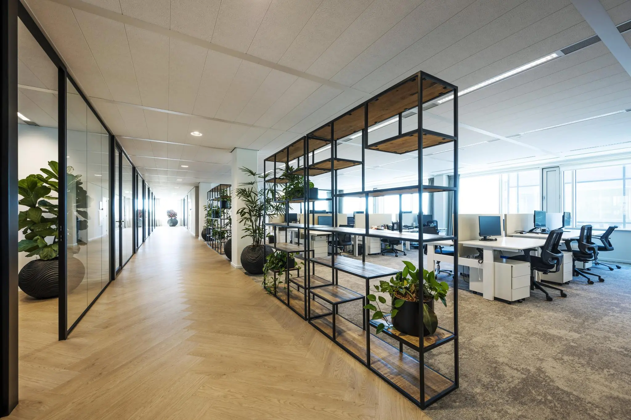 Modern kantoorinterieur aan de Thomas R. Malthusstraat met open werkplekken, glazen vergaderruimtes en planten als decoratie.