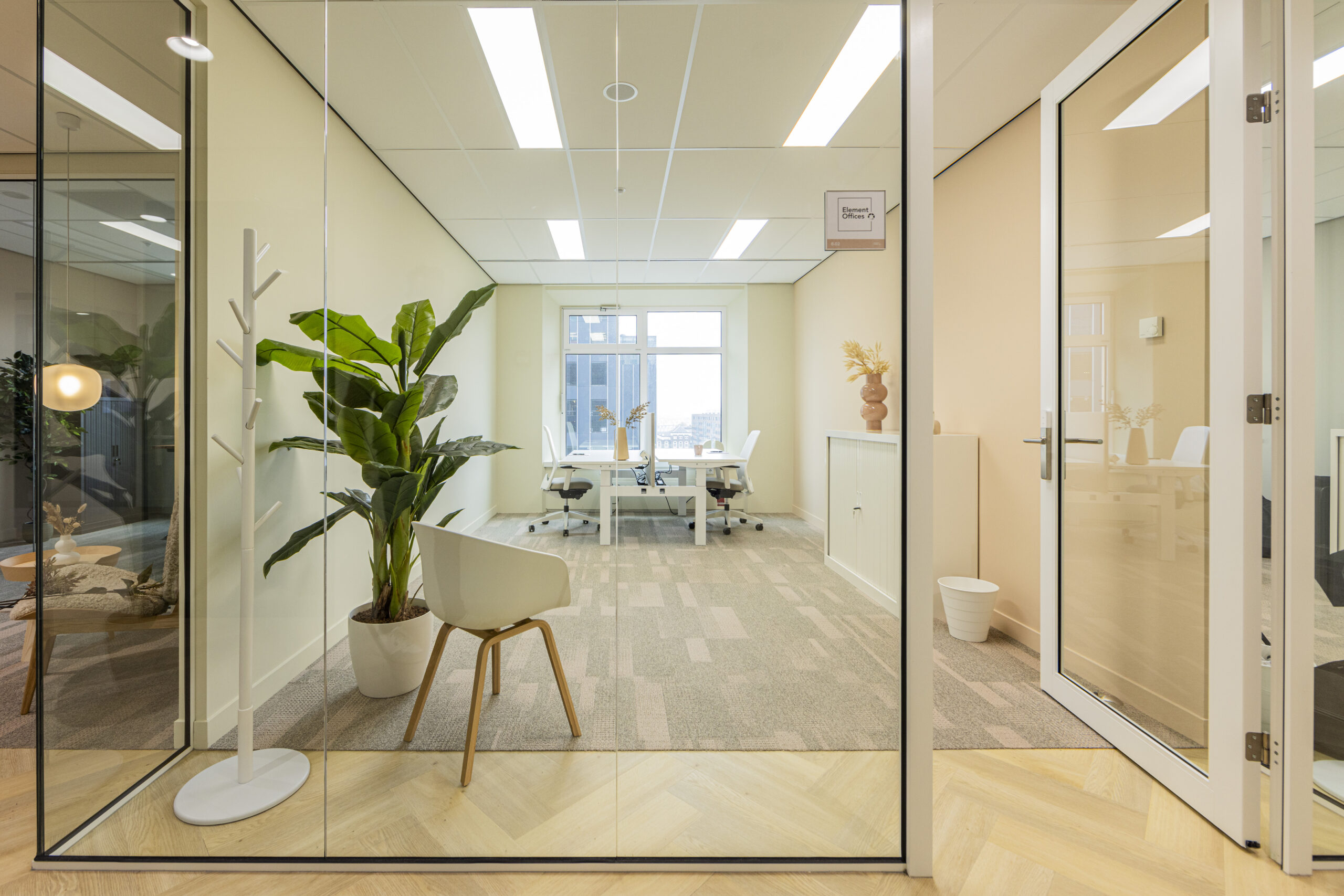 Moderne kantoorruimte met glazen wanden, een grote plant en een bureau met stoelen.