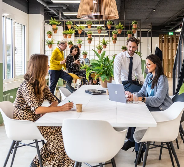 Mensen werken en overleggen in een modern kantoor met veel planten en een natuurlijke inrichting aan de Ptolemaeuslaan.