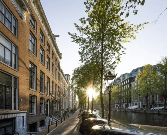 Zonnestralen schijnen tussen bomen langs de Herengracht in Amsterdam met historische grachtenpanden aan het water.