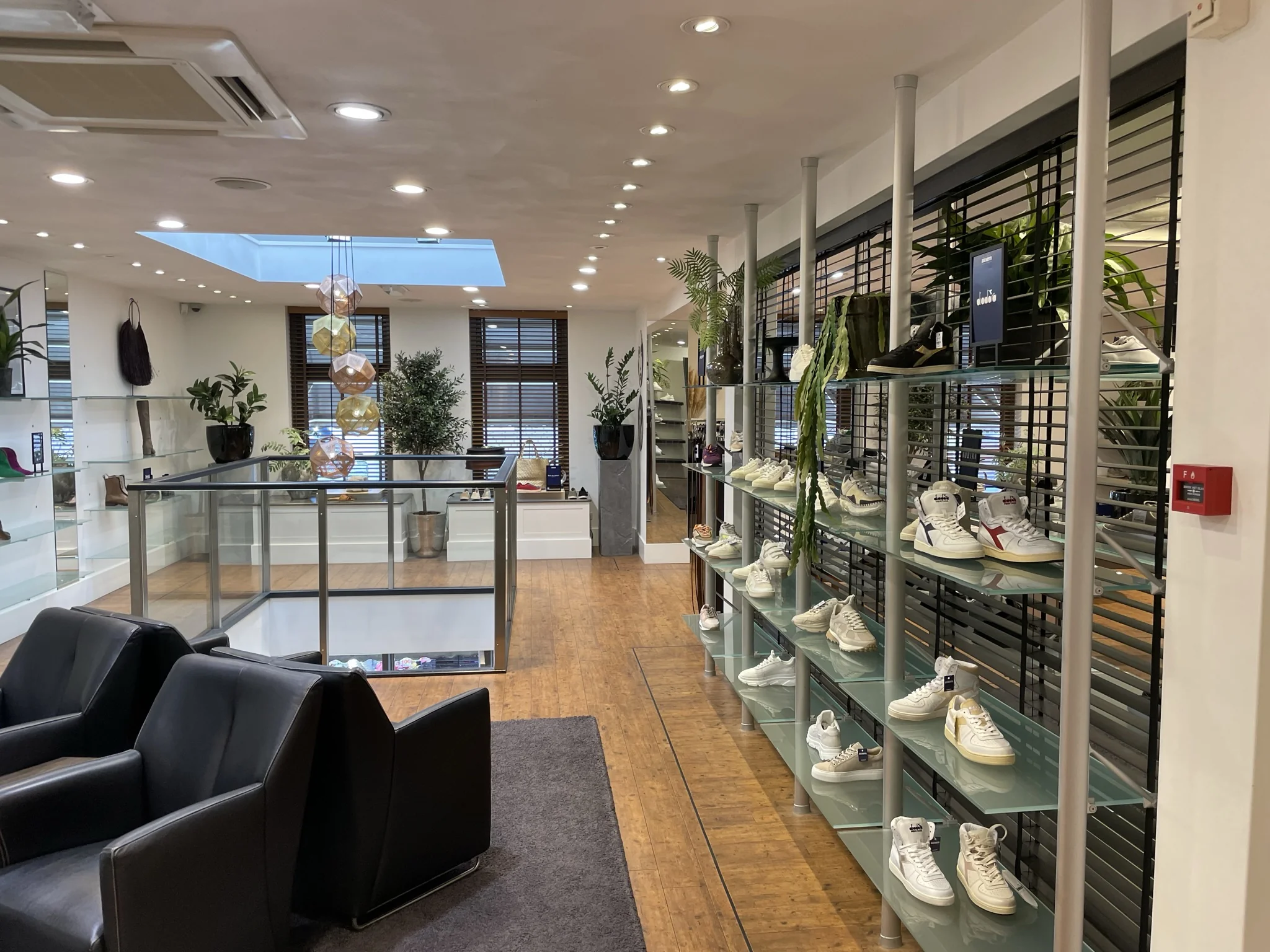 Moderne schoenenwinkel aan de Molendijk met glazen rekken vol sneakers en een sfeervol interieur met planten en leren stoelen.
