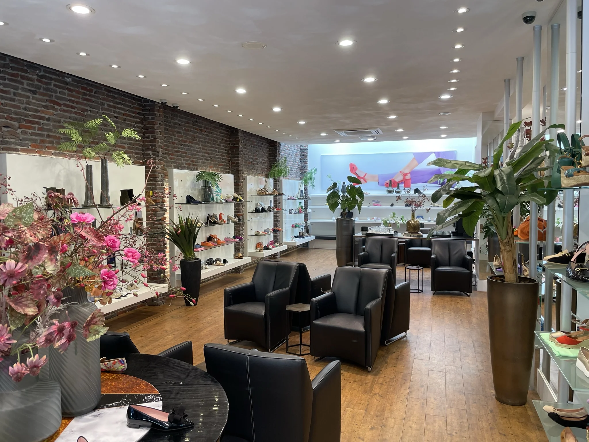 Moderne schoenenwinkel aan de Molendijk met stijlvolle zitplaatsen, kleurrijke bloemen en netjes uitgestalde damesschoenen.