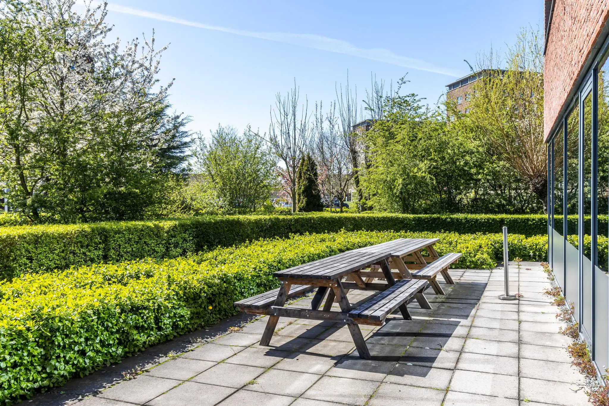 Houten picknicktafels op een zonnig betegeld terras aan de Groenewoudsedijk, omringd door groene hagen en bomen.