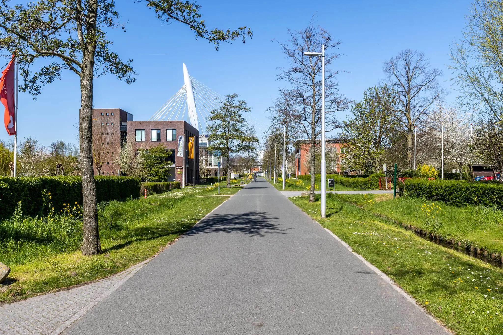 Rechte weg op de Groenewoudsedijk in Utrecht met moderne gebouwen, bomen en een opvallende witte tuibrug op de achtergrond.
