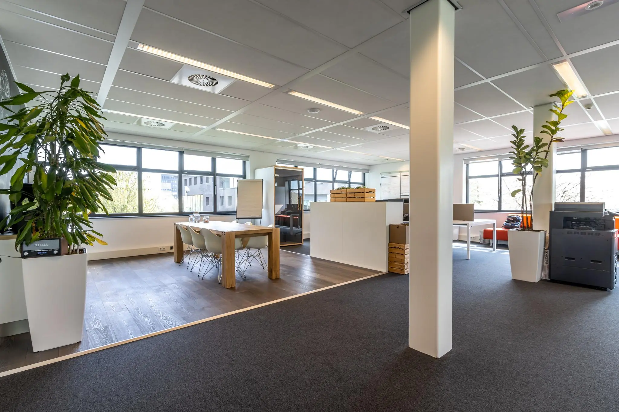 Moderne kantoorruimte aan de Groenewoudsedijk met grote ramen, houten vergadertafel en groene planten.