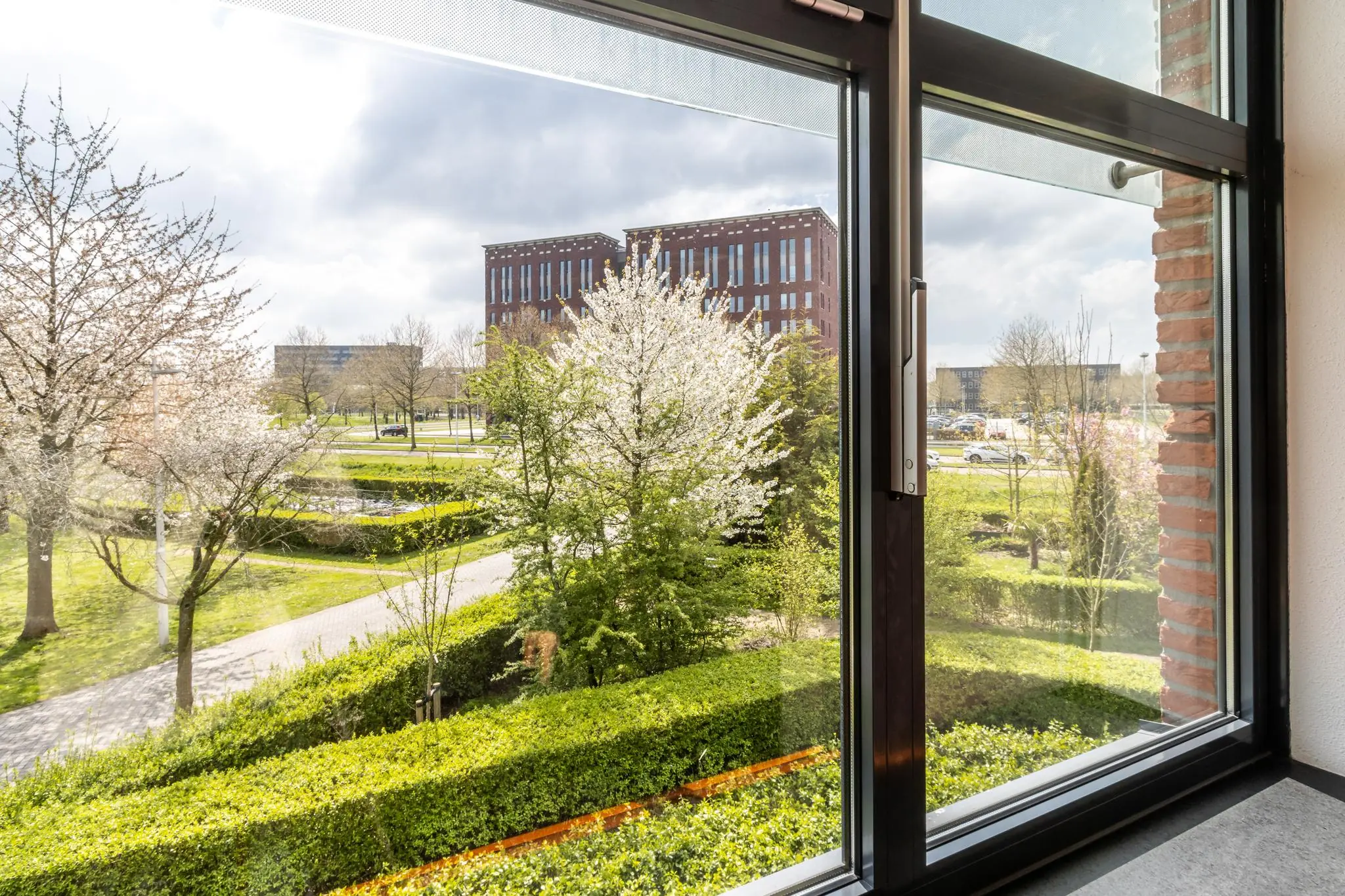 Uitzicht vanuit een raam op een groen park met bloeiende bomen aan de Groenewoudsedijk en rode kantoorgebouwen op de achtergrond.