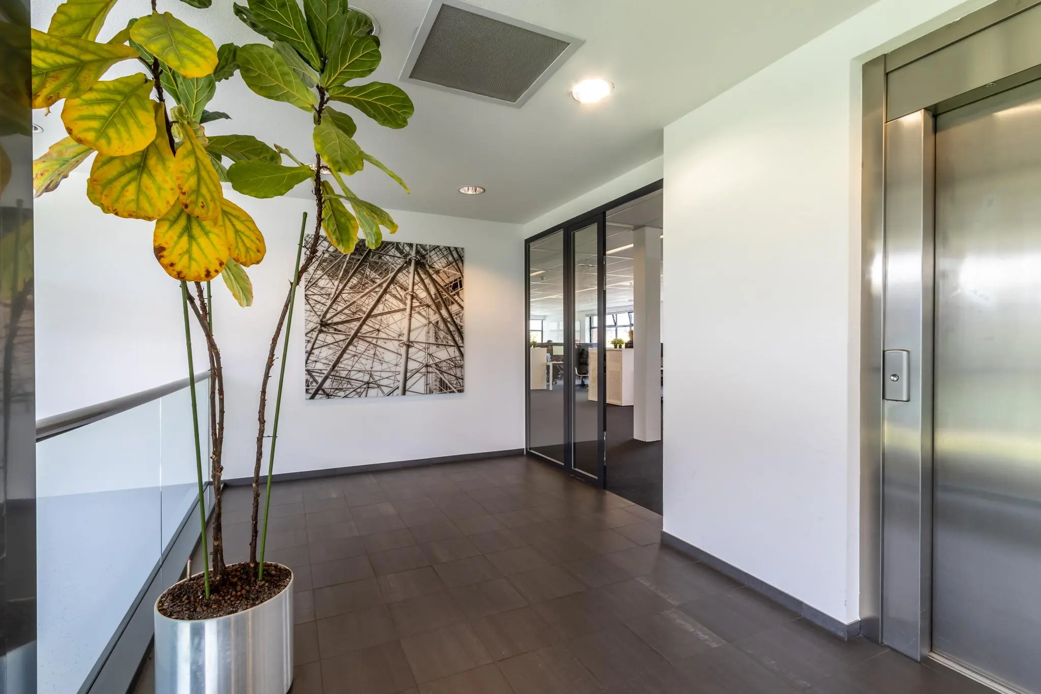 Moderne kantoorhal met een liftdeur, een glazen deur naar een kantoorruimte, een grote plant en een kunstwerk aan de muur.