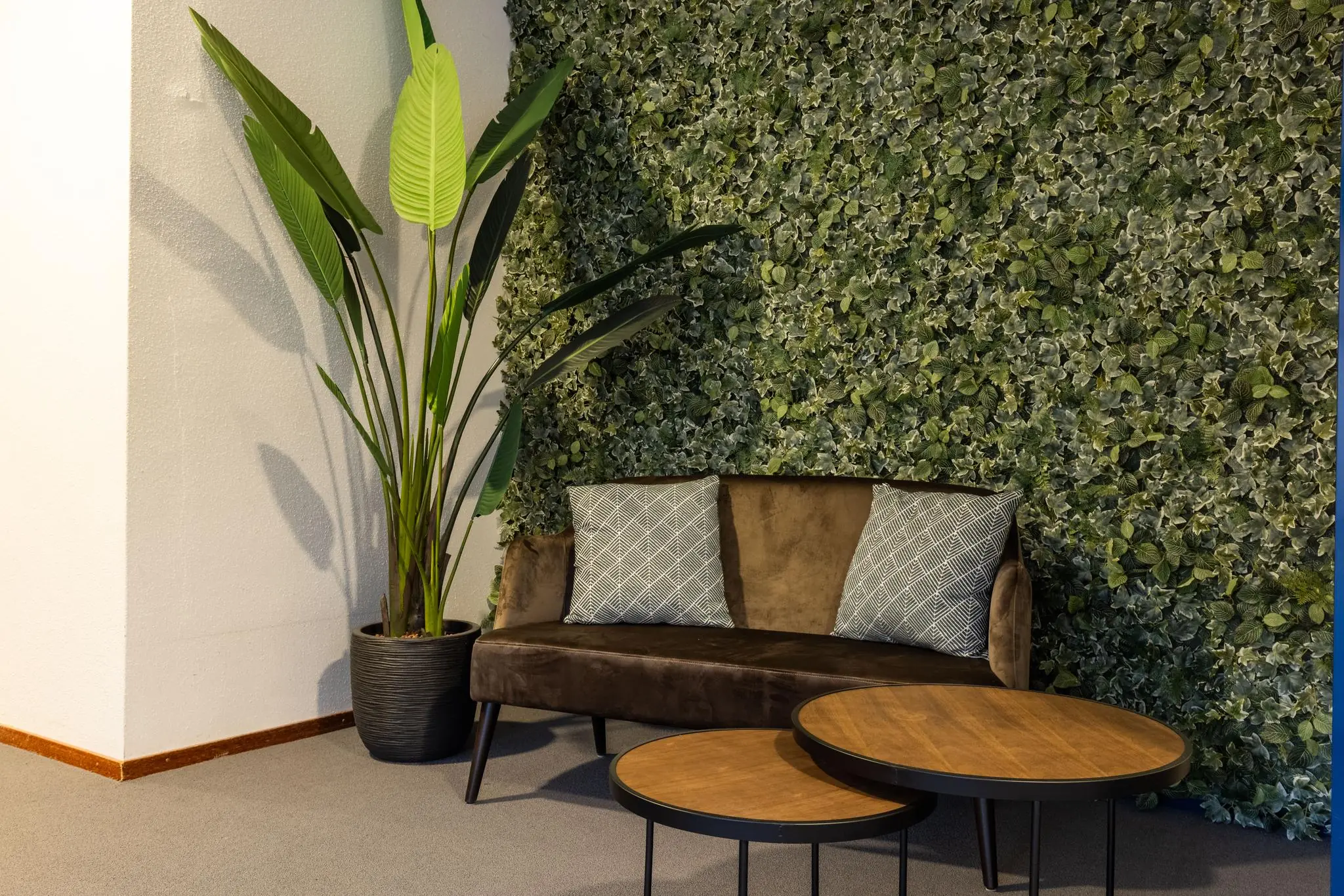 Moderne wachtruimte met een bruine bank, twee houten salontafels en een groene plantenwand op Fokkerstraat.