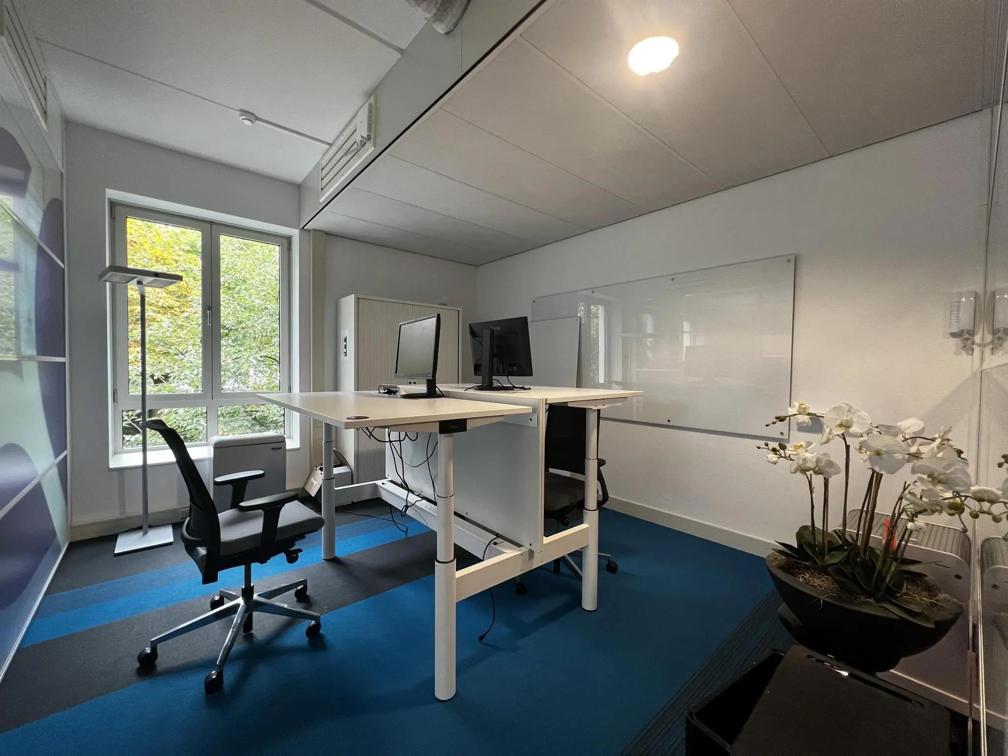 Modern kantoor op de Driebergseweg met verstelbare bureaus, ergonomische stoelen, grote ramen en een whiteboard.