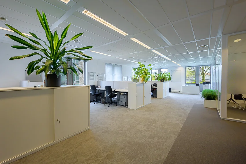 Modern en licht kantoorinterieur aan de Bahialaan met bureaus, kantoorstoelen en grote kamerplanten.