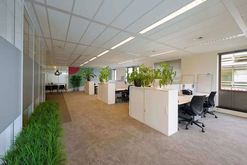 Modern open kantoorinterieur aan de Bahialaan met werkplekken, veel lichtinval en groene planten.