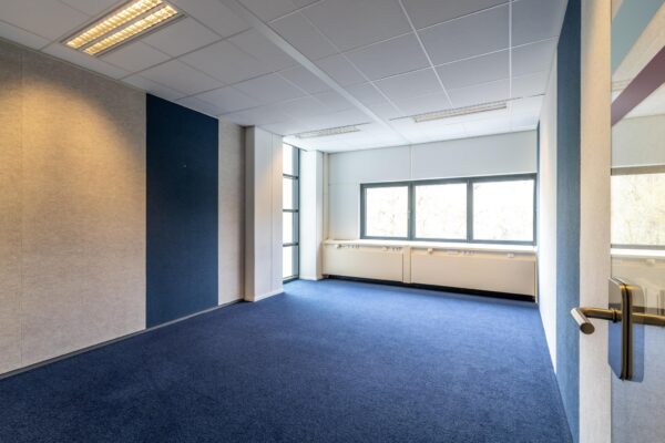 Licht kantoorruimte in Sparrenheuvel met blauwe vloerbedekking, grote ramen en een deels blauwe wand.