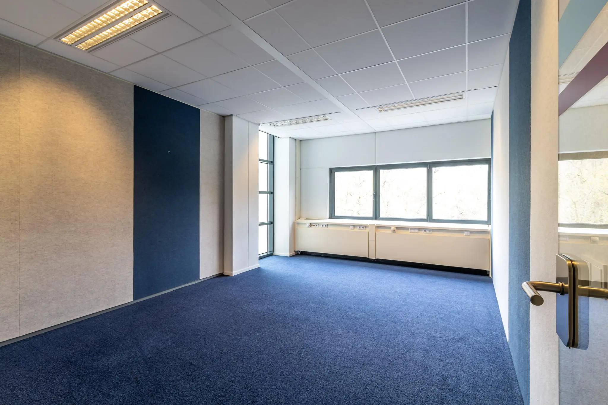 Licht kantoorruimte in Sparrenheuvel met blauwe vloerbedekking, grote ramen en een deels blauwe wand.