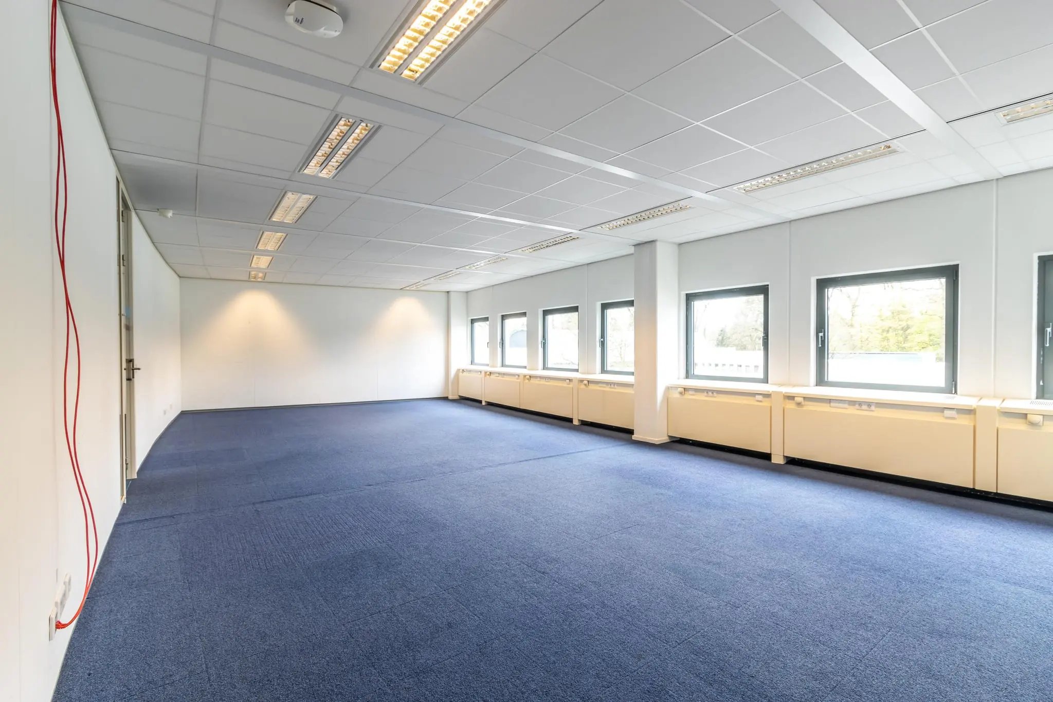Licht en ruim leegstaand kantoor met blauw tapijt en grote ramen in kantoorpand Sparrenheuvel.