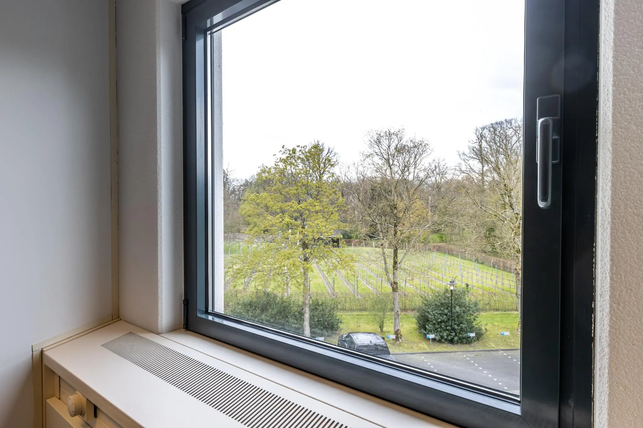 Uitzicht vanuit een venster op een boomrijk landschap en een parkeerplaats bij Sparrenheuvel.