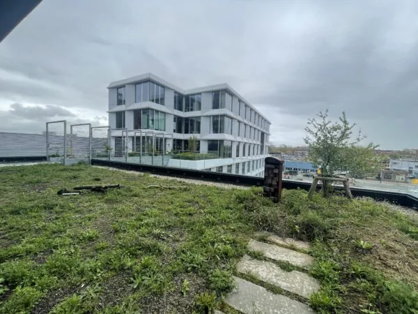 Groen dakterras met uitzicht op een modern kantoorgebouw aan de Asterweg in Amsterdam.