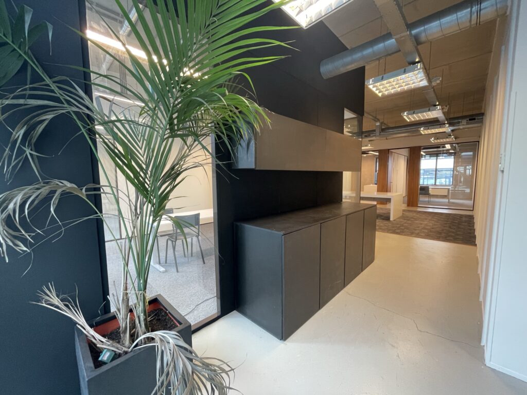 Moderne kantoorruimte aan de Danzigerkade met industriële inrichting, glazen wanden en een grote kamerplant op de voorgrond.