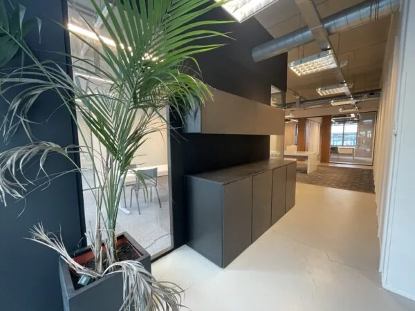 Moderne kantoorruimte aan de Danzigerkade met industriële inrichting, glazen wanden en een grote kamerplant op de voorgrond.