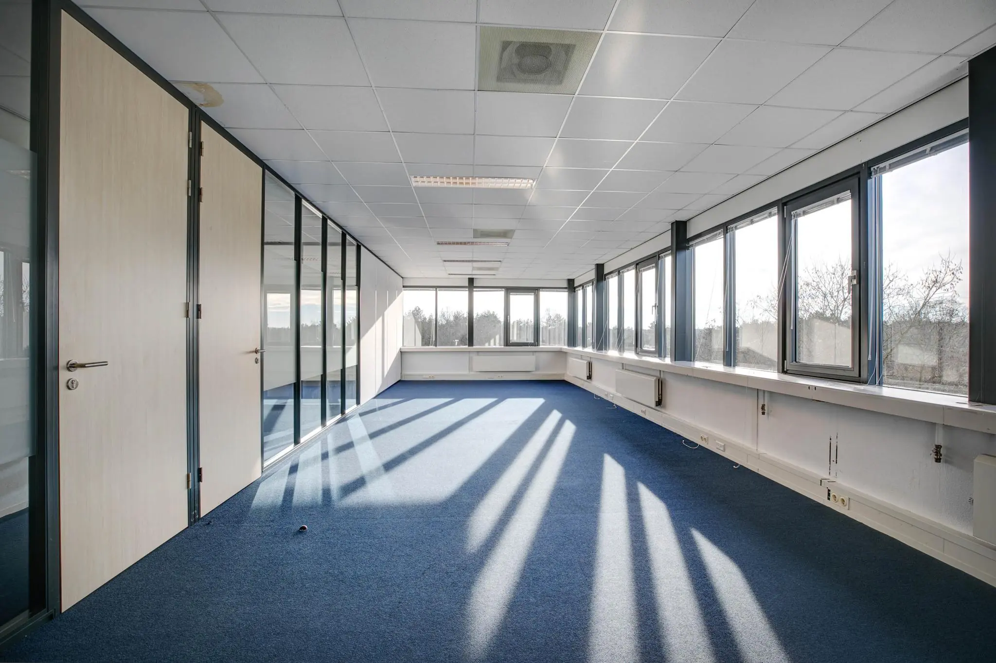 Lichte, lege kantoorruimte met blauwe tapijtvloer, glaswanden en grote ramen aan één zijde.