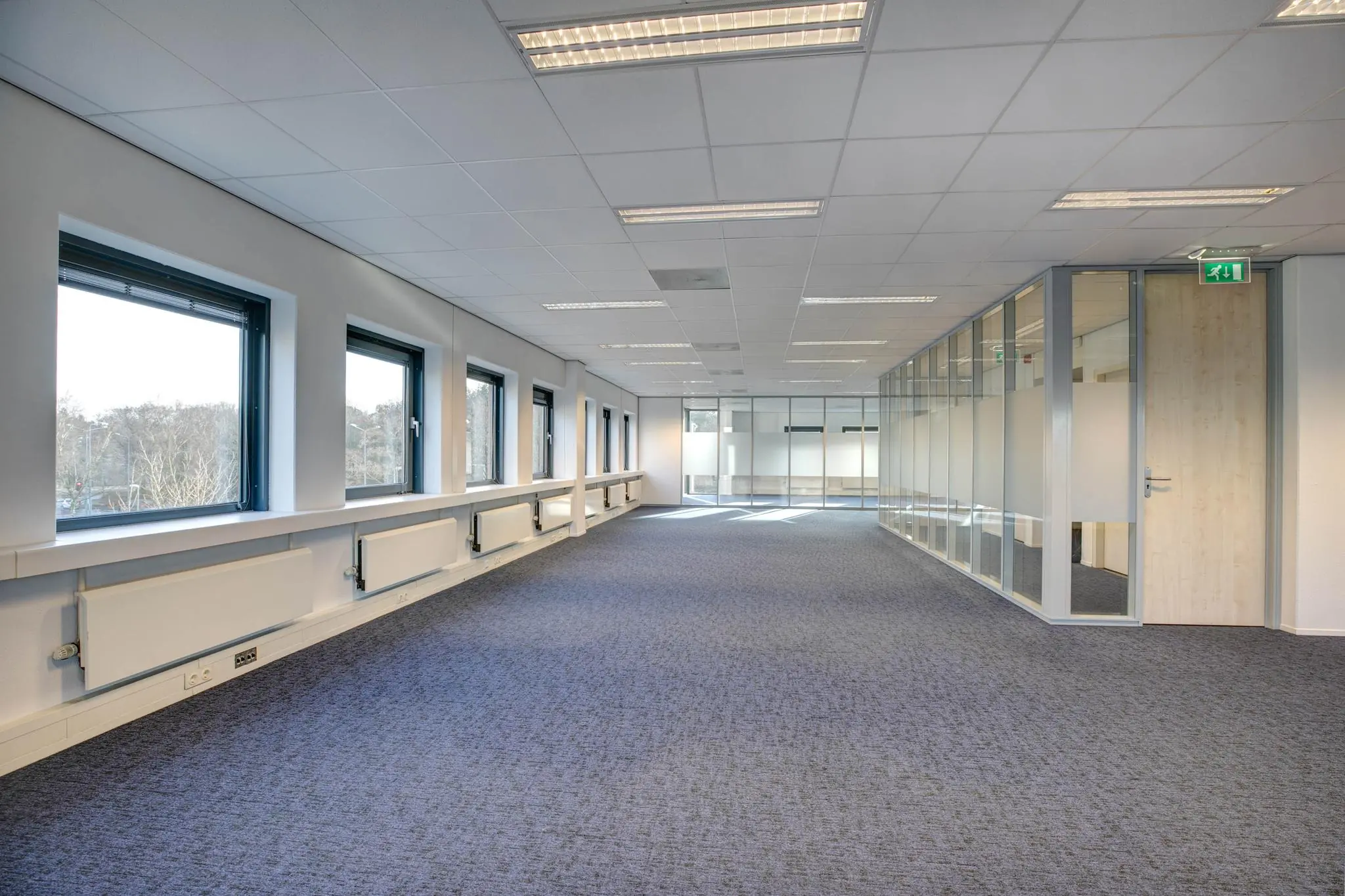 Lege, moderne kantoorruimte met blauwe tapijtvloer, grote ramen en glazen scheidingswanden.