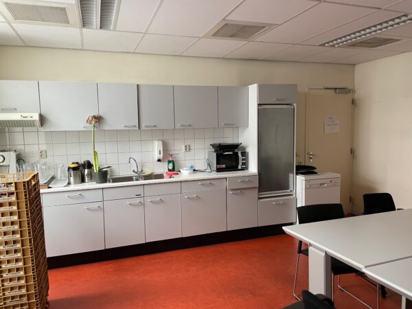 Kantinekeuken aan de Stadionweg met witte keukenkastjes, een tafel, koffiezetapparaat en een grote bloem in een pot.