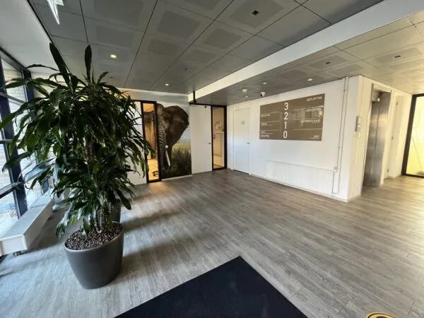 Ingangshal van een kantoor aan de Amersfoortseweg met een grote plant, een muurdecoratie met een olifant en een overzicht van bedrijven op de muur.