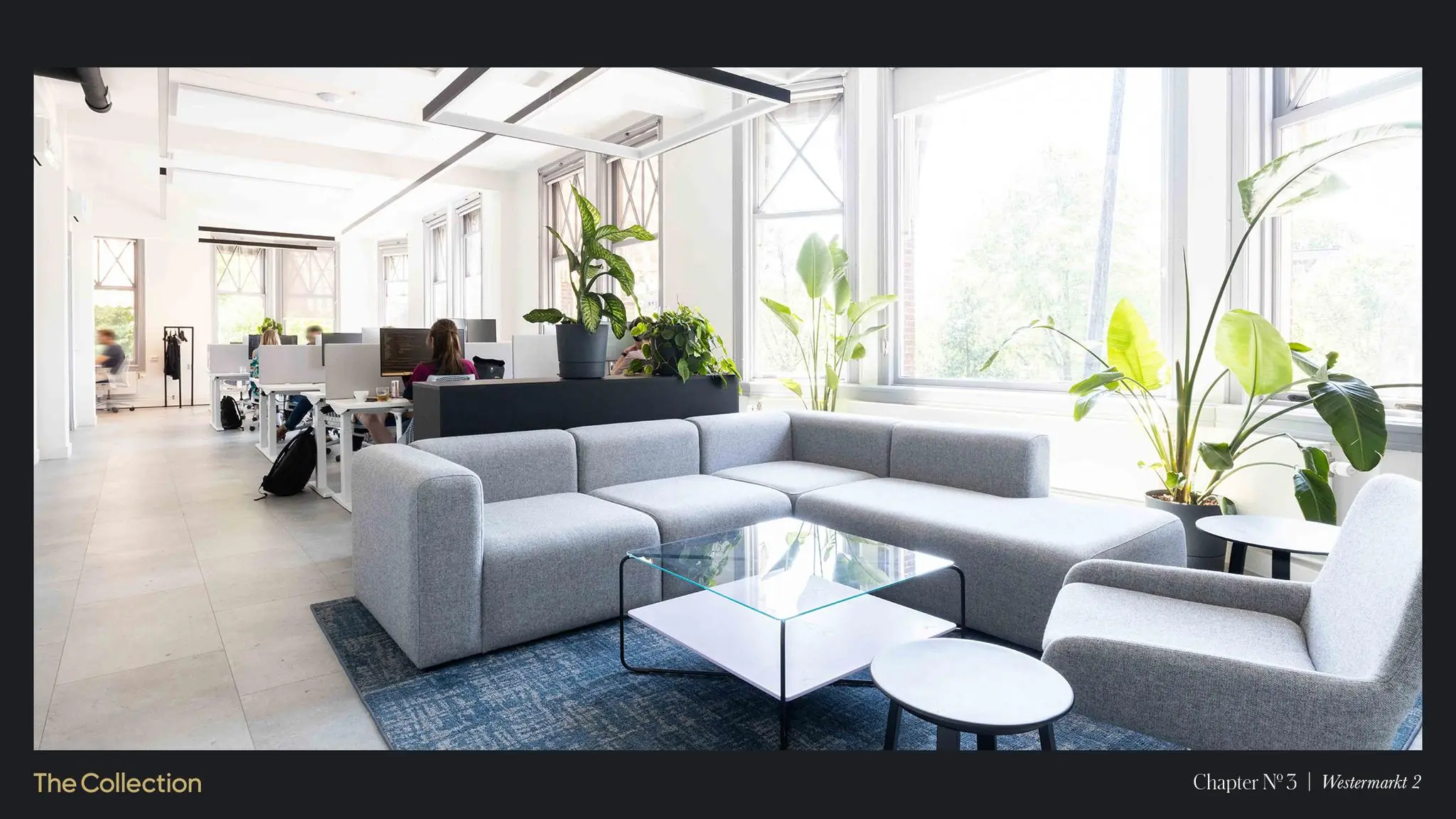 Licht en modern kantoorinterieur aan de Westermarkt met werkplekken, grijze zithoek en grote ramen met veel planten.