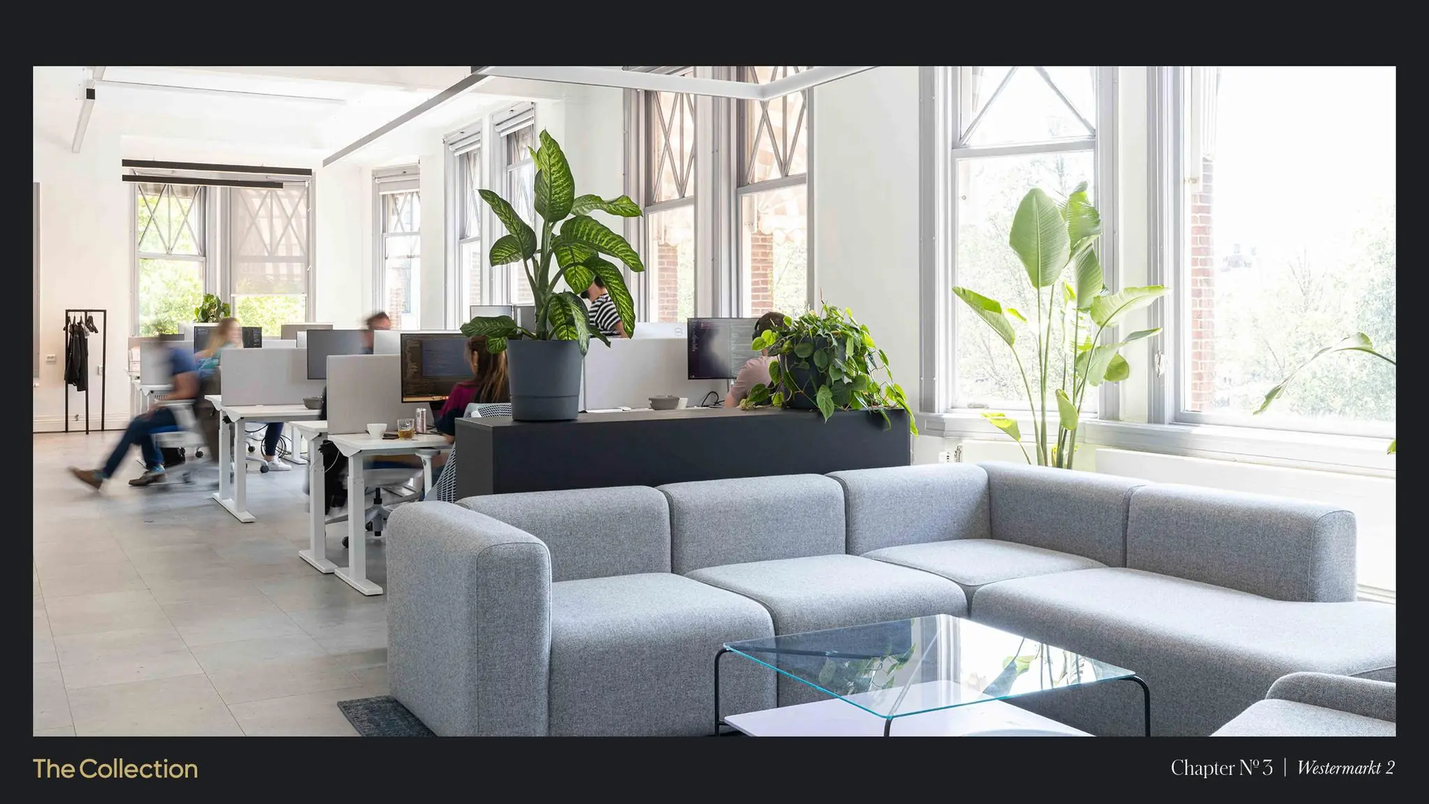 Moderne en lichte kantoorruimte aan de Westermarkt met werkplekken, een grijze loungehoek en veel groenplanten.