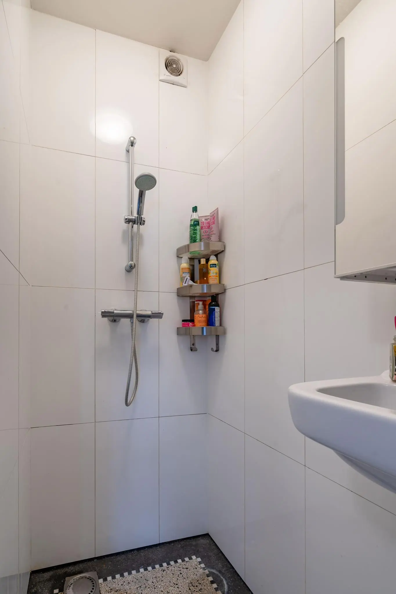 Nette, witte inloopdouche met regendouche, hoekrekje met verzorgingsproducten en een kleine wastafel.