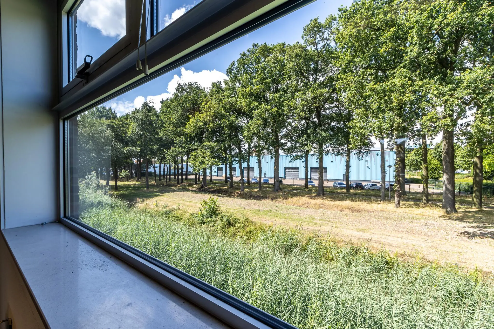 Uitzicht vanuit een raam op een groenstrook met bomen en een blauw industriepand aan de Terminalweg.