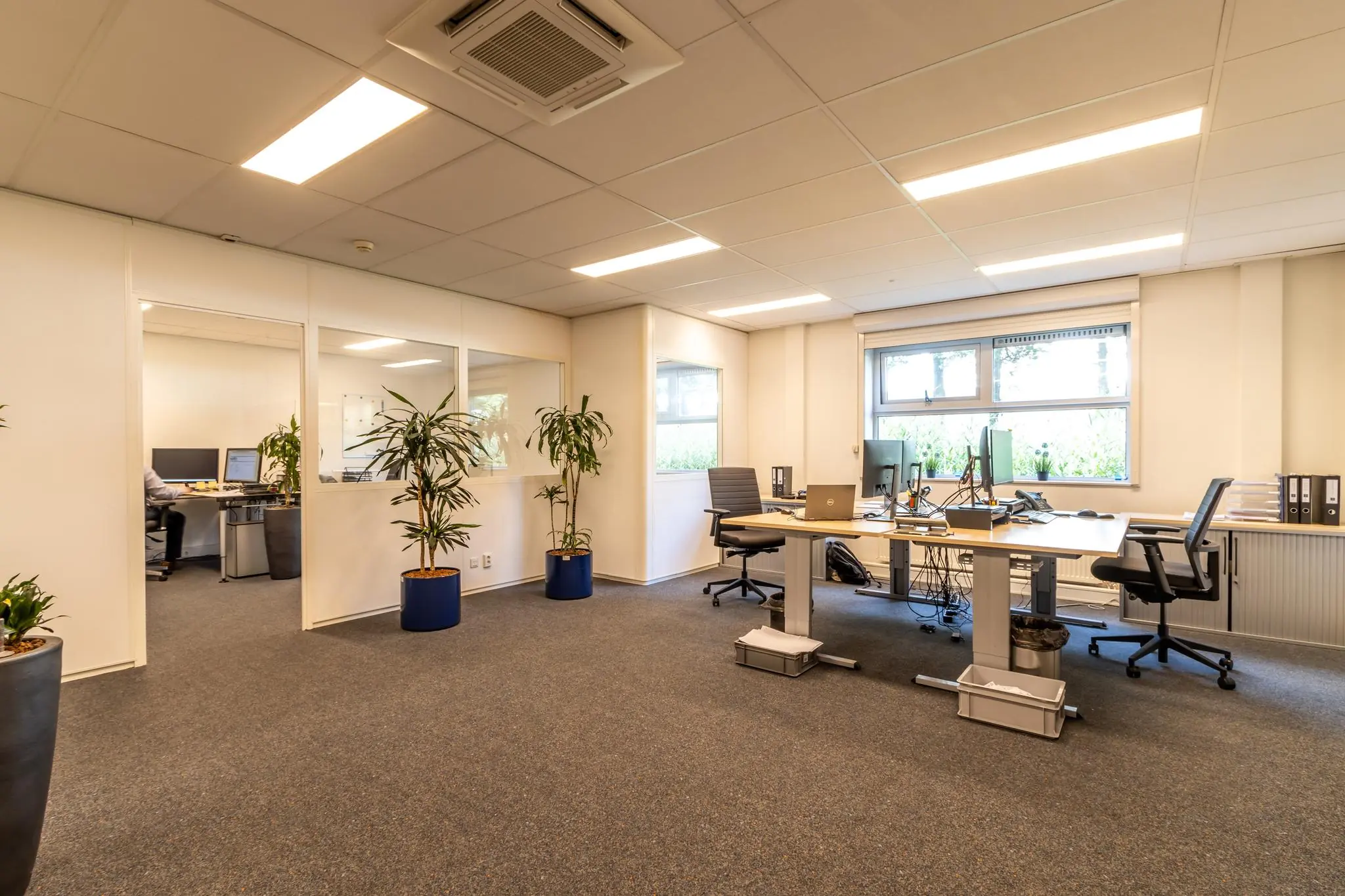 Modern ingericht kantoor aan de Terminalweg met bureaus, computers, planten en natuurlijk licht.