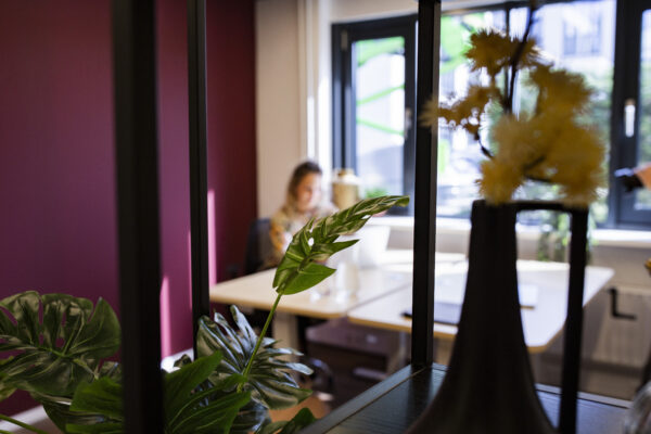 Een vrouw werkt aan een bureau in een kantoor met een paarse muur en verschillende kamerplanten op de voorgrond.