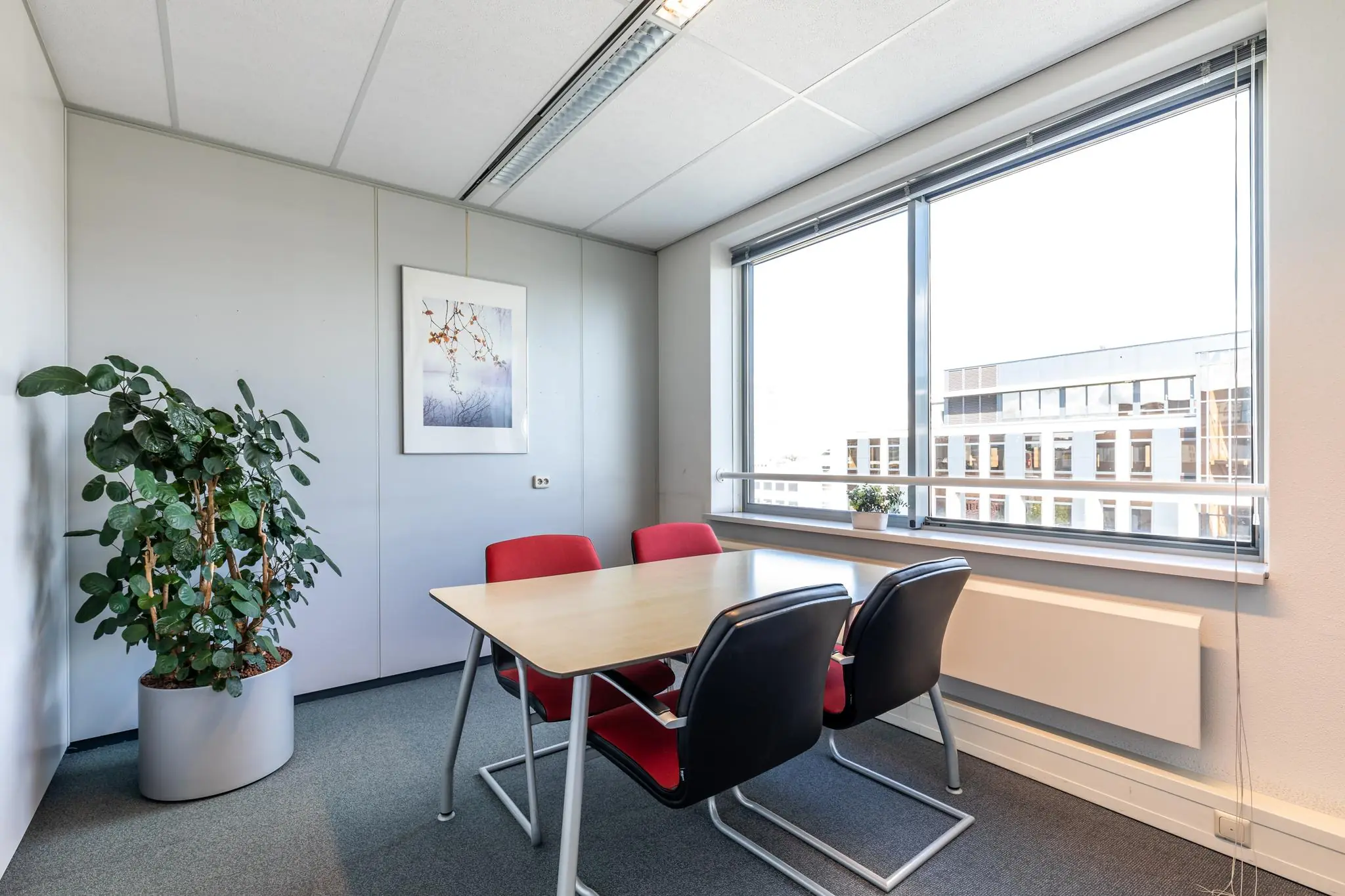 Kleine vergaderruimte in een kantoorpand aan de Euclideslaan met een tafel, vier stoelen, een grote plant en uitzicht op een modern kantoorgebouw.